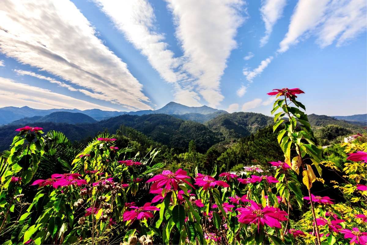 Tianma Mountain Tourist Area
